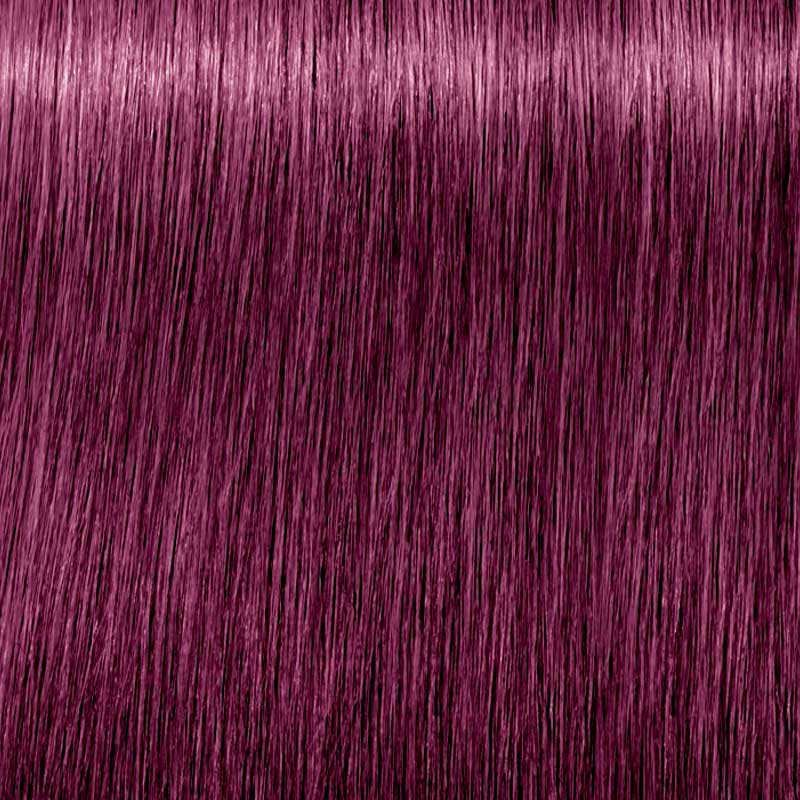 Tinte Igora Royal Schwarzkopf 60g