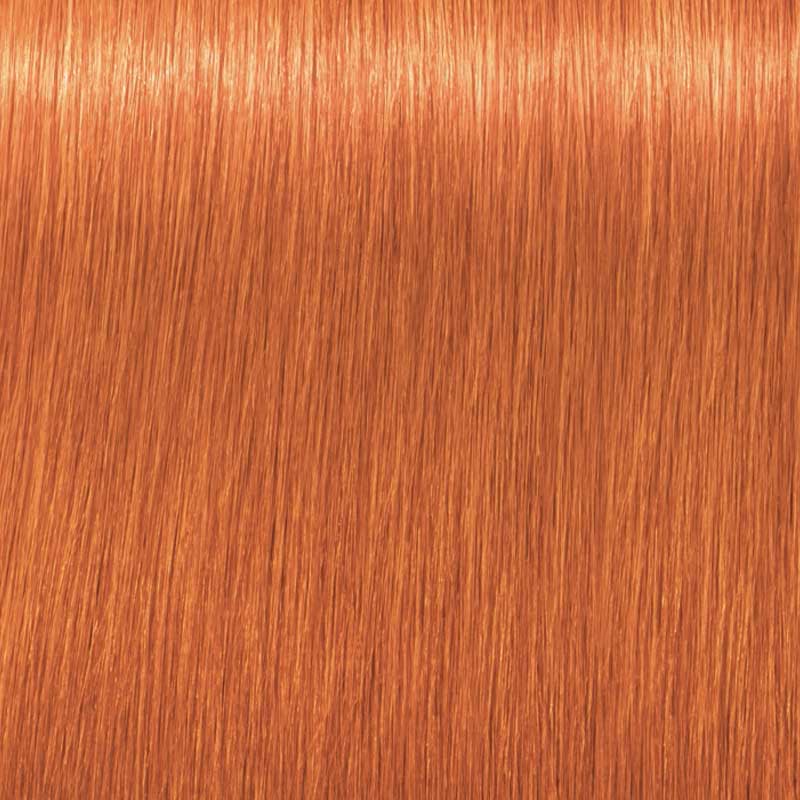 Tinte Igora Royal Schwarzkopf 60g