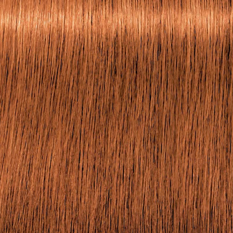 Tinte Igora Royal Schwarzkopf 60g