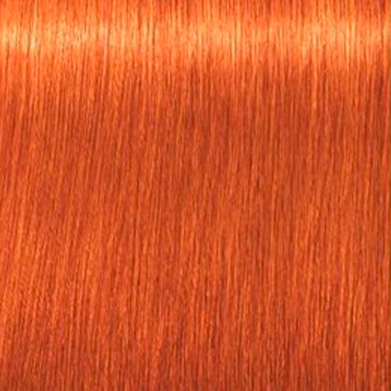 Tinte Igora Royal Schwarzkopf 60g