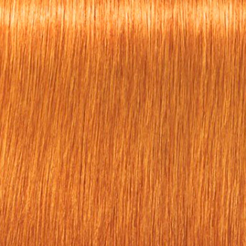 Tinte Igora Royal Schwarzkopf 60g