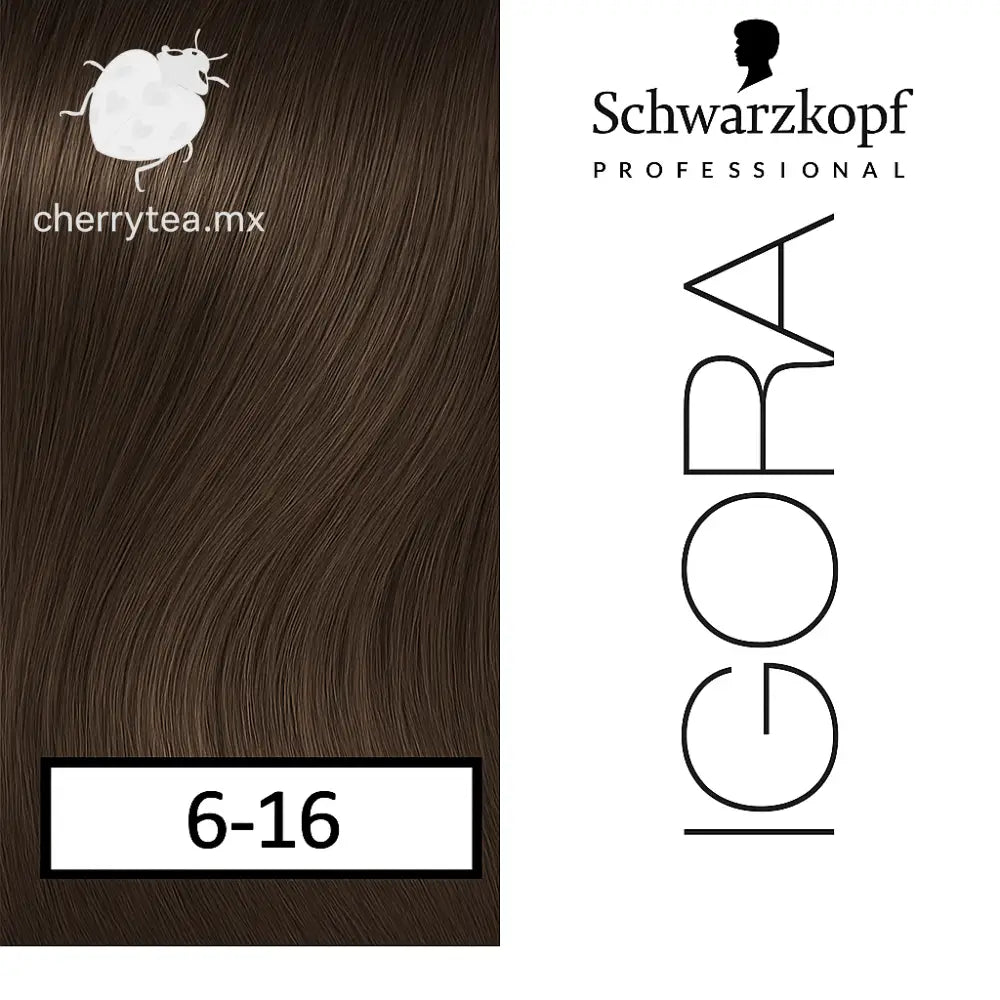 Tinte Igora Royal 6-16 Rubio Obscuro Ceniza Marrón