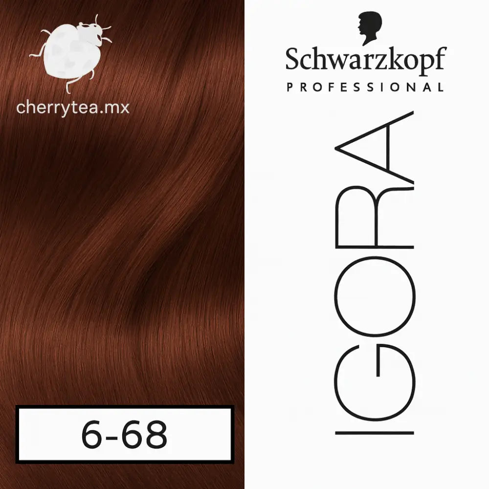 Tinte Igora Royal 6-68 Rubio Obscuro Marrón Rojizo (Chocolate)