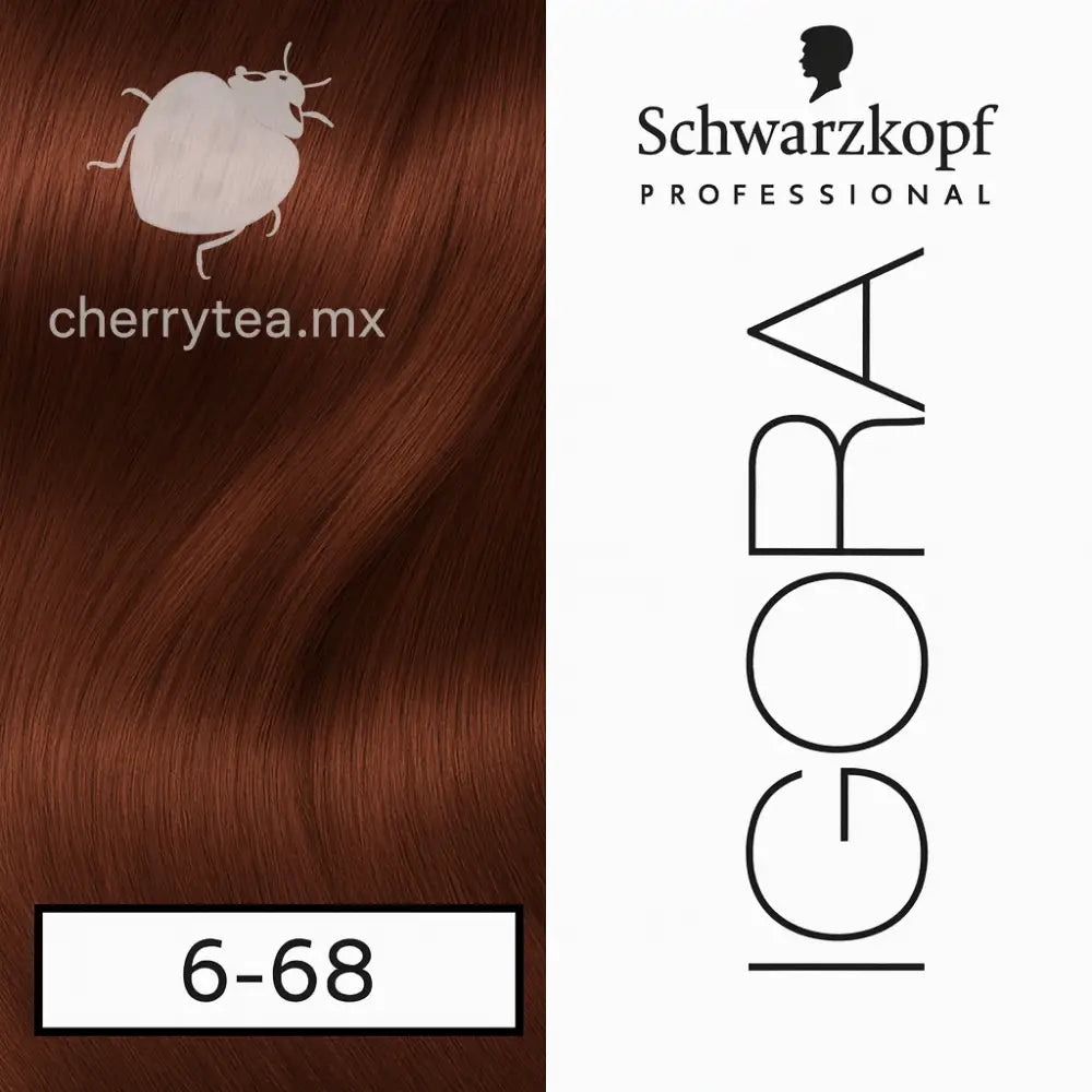 Tinte Igora Royal 6-68 Rubio Obscuro Marrón Rojizo (Chocolate)