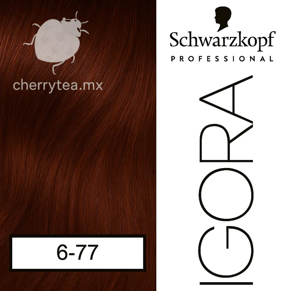 Tinte Igora Royal 6-77 Rubio Oscuro Cobrizo Intenso