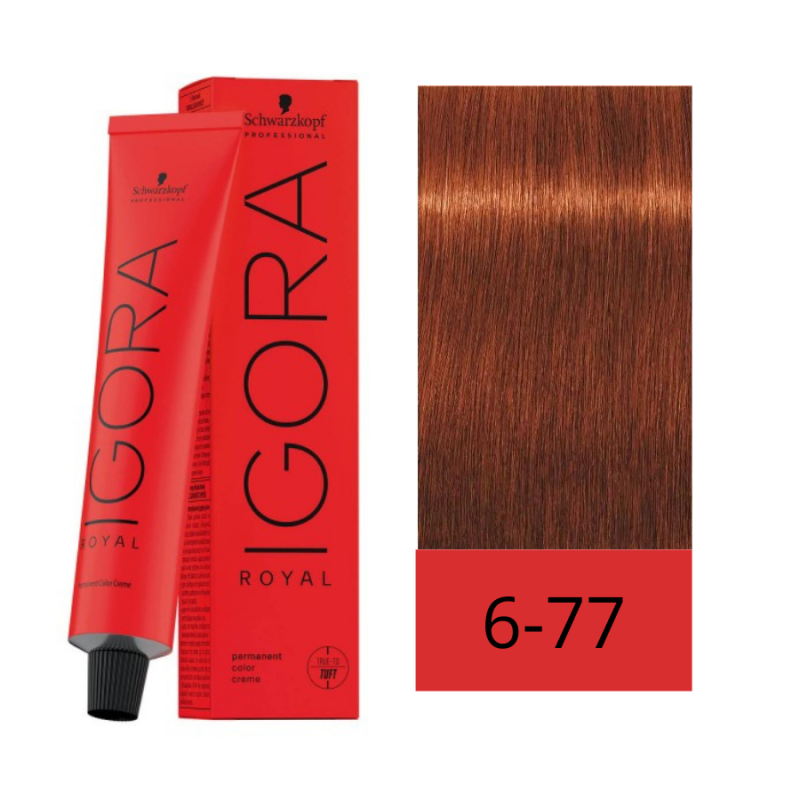 Tinte Igora Royal Schwarzkopf 60g