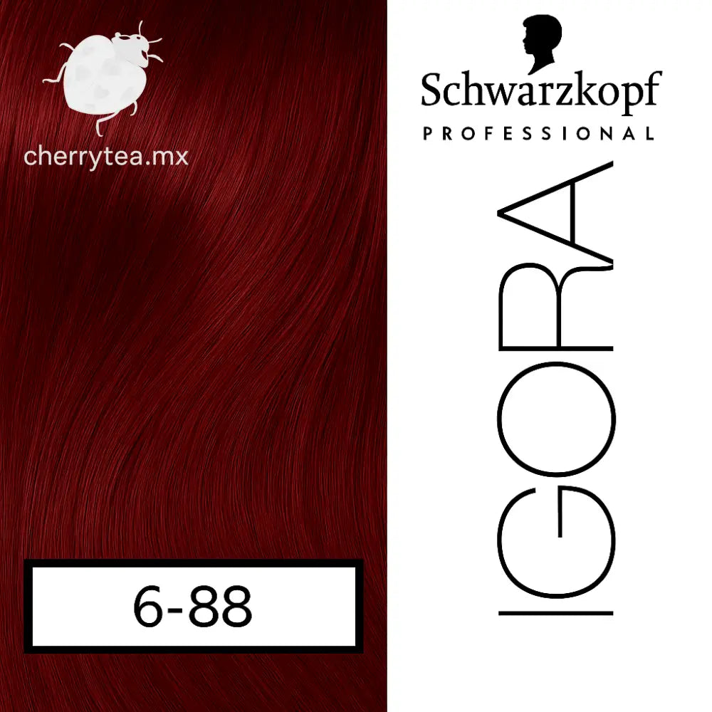 Tinte Igora Royal 6-88 Rubio Obscuro Rojo Intenso