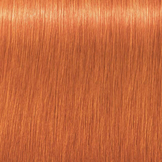 Tinte Igora Royal Schwarzkopf 60g