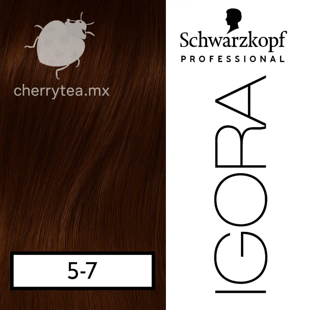 Tinte Igora Royal 5-7 Castaño Claro Cobrizo