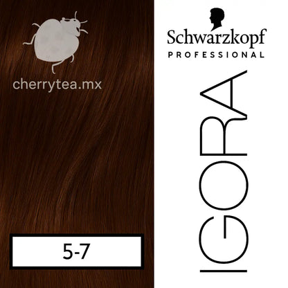 Tinte Igora Royal 5-7 Castaño Claro Cobrizo