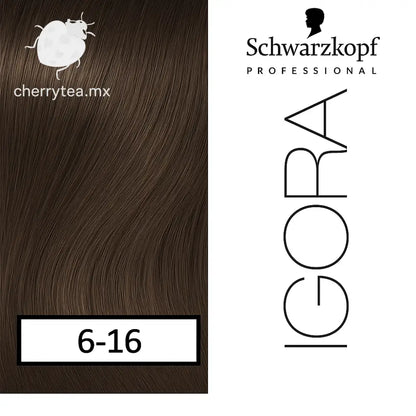 Tinte Igora Royal 6-16 Rubio Obscuro Ceniza Marrón