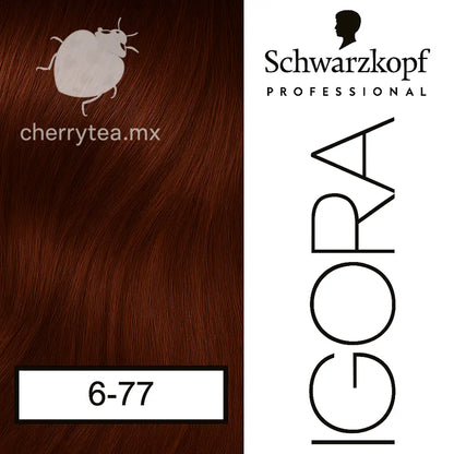 Tinte Igora Royal 6-77 Rubio Oscuro Cobrizo Intenso