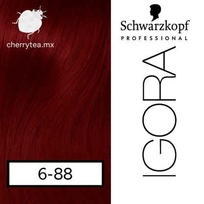 Tinte Igora Royal 6-88 Rubio Obscuro Rojo Intenso