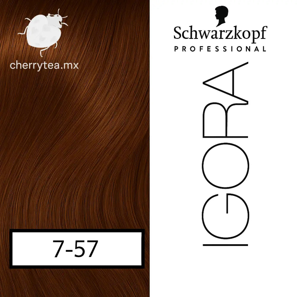 Tinte Igora Royal 7-57 Rubio Medio Dorado Cobre