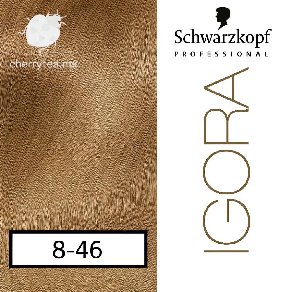 Tinte Igora Royal 8-46 Rubio Claro Beige Marrón (Rubio Avellana)