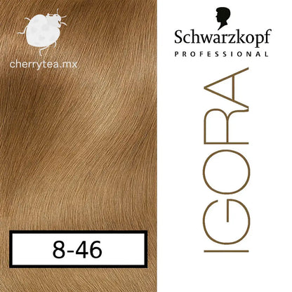 Tinte Igora Royal 8-46 Rubio Claro Beige Marrón (Rubio Avellana)