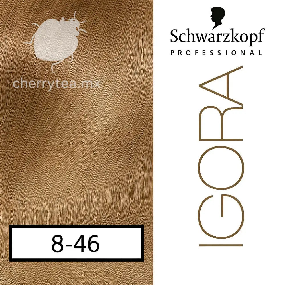 Tinte Igora Royal 8-46 Rubio Claro Beige Marrón (Rubio Avellana)