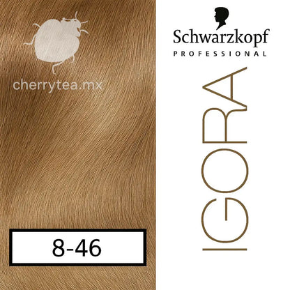 Tinte Igora Royal 8-46 Rubio Claro Beige Marrón (Rubio Avellana)